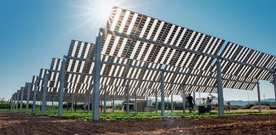 Inaugurada la primera planta agrivoltaica monitorizada en la UPC para cultivos hortícolas