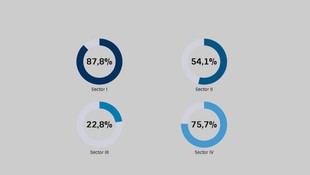 Participación histórica en la elección de la primera reitora de la USC