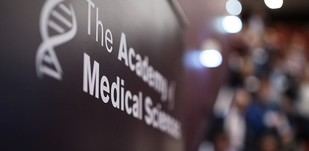 Siete académicos de Cambridge se convierten en miembros de la Academia de Ciencias Médicas 2026