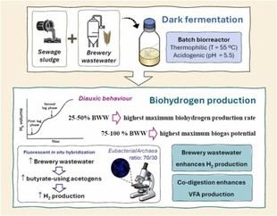 Investigadoras de UPM y UCA convierten residuos cerveceros en hidrógeno verde