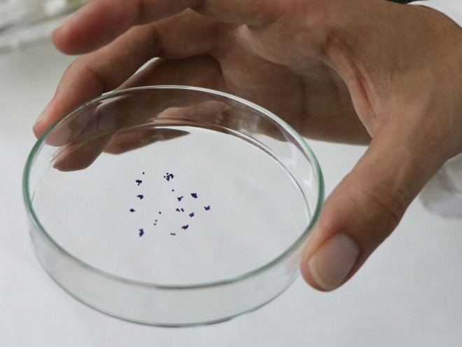 Desarrollan microcápsulas biodegradables a partir de plásticos naturales para productos de limpieza