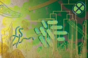 Investigación sugiere que formas de vida primitivas usaron oxígeno antes de su acumulación en la atmósfera