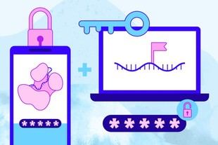Descubren un sistema de "autenticación en dos pasos" que regula la destrucción de microARNs