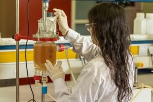 Universitat de Lleida investiga zumo de manzana para potenciar antioxidantes de la curcumina