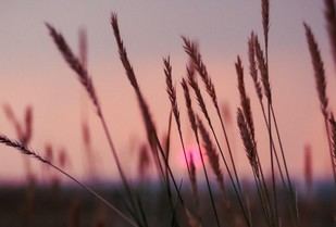 Aumentan las solicitudes de suicidio asistido en Italia, pero la normativa sigue estancada