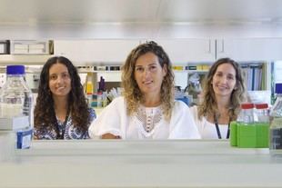 Supercélulas del i3S ofrecen nuevas esperanzas en el tratamiento de tumores sólidos