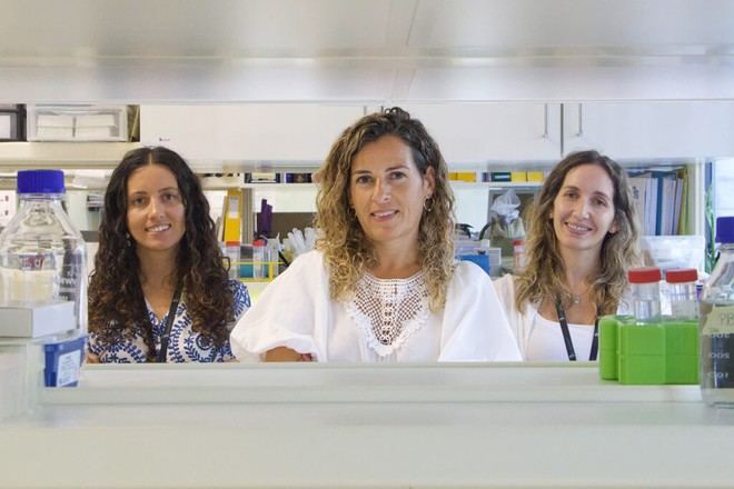 Supercélulas del i3S ofrecen nuevas esperanzas en el tratamiento de tumores sólidos