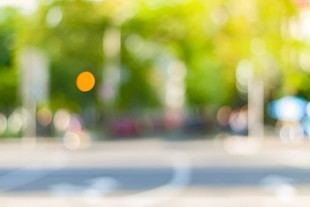 Premios de Sostenibilidad 2025 reconocen a investigadores de Alemania, Canadá y una organización australiana