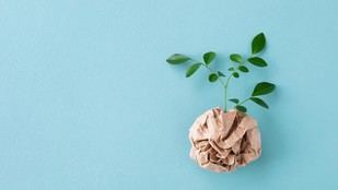 Premios a las mejores investigaciones sobre sostenibilidad en la Universidad de Vigo