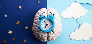 Descubren el mecanismo celular que explica por qué los humanos son diurnos