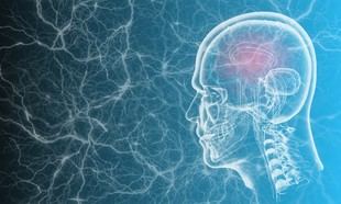 TheraSonic: nueva tecnología que supera la barrera del cerebro con ultrasones