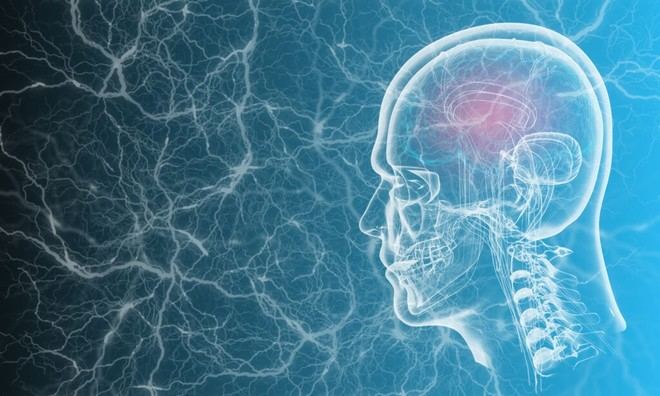 TheraSonic: nueva tecnología que supera la barrera del cerebro con ultrasones