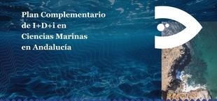 Andalucía finaliza el Plan ThinkInAzul con más de 500 investigadores en ciencias marinas