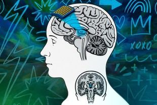 Nueva herramienta para investigar la conciencia en el cerebro