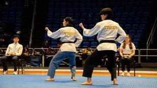 Tigres de taekwondo de la UANL brilla en ANUIES 2026 con cuatro oros