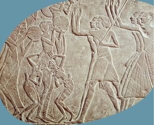 Investigación de la Universidad de Manchester revela la evolución de la religión en el antiguo Egipto