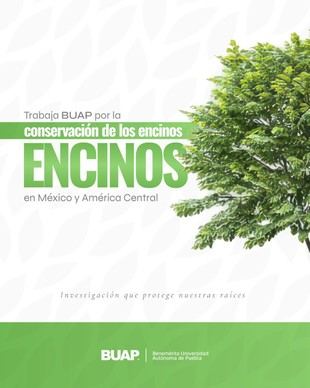 BUAP impulsa la conservación de encinos en México y Centroamérica