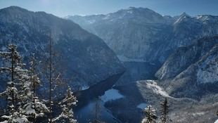 TUM lanza un centro para la gestión sostenible de los bosques alpinos