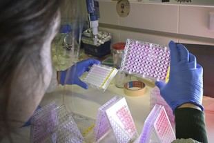 U.Porto impulsa plataforma para innovar en salud en el Norte de Portugal