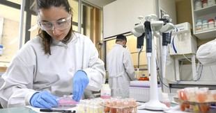 La U.Porto destaca con 156 investigadores entre los mejores del mundo