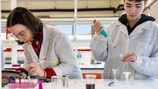 La UPV se posiciona como la mejor universidad de ciencias en España según el U-Ranking 2026