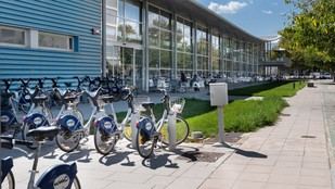 La UPV, entre las 250 universidades más sostenibles del mundo según GreenMetric 2025