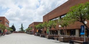 UIC Barcelona logra su primera clasificación en Estudios de Educación en el ranking THE por materias