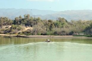 Maspalomas se convierte en laboratorio natural para estudiar adaptación climática