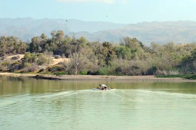 Maspalomas se convierte en laboratorio natural para estudiar adaptación climática