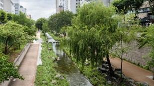 Proponen un anillo verde para regenerar áreas afectadas por inundaciones en Valencia