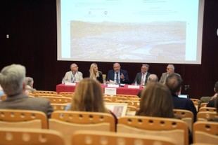 Congreso sobre la investigación de las murallas de Córdoba