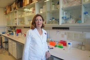 Investigadores vascos analizan mutaciones en proteína que afectan el desarrollo cerebral en niños con enfermedad rara