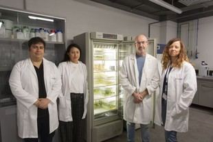 Investigadores de la UJI desarrollan un bioestimulante para mejorar cultivos en condiciones adversas