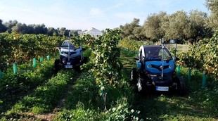 Automatizan un vehículo eléctrico para la inspección de cultivos