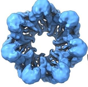 Resucitan proteínas ancestrales para entender la evolución de la vida en la Tierra