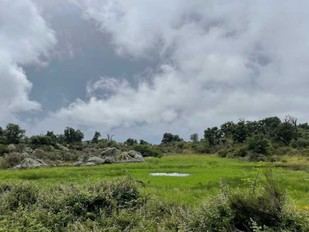Descubren el origen geológico singular de las bassas de l'Albera en un estudio de la UdG