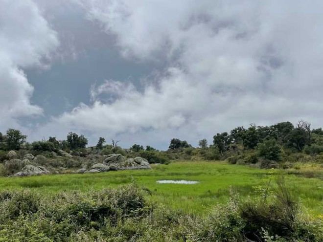 Descubren el origen geológico singular de las bassas de l'Albera en un estudio de la UdG