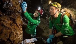 Estudio sobre ADN de bacterias en tubos de lava ayuda a buscar vida en Marte
