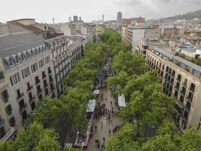 Estudio revela factores de riesgo en la radicalización de la célula terrorista de Barcelona y Cambrils