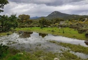 Estudio resalta la urgencia de mejorar la protección de la Albera