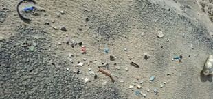 Investigación de la UCA revela riesgos ambientales de los pellets plásticos en el mar