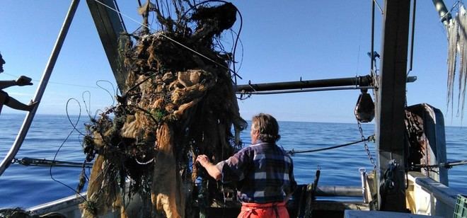 Los plásticos agrícolas pueden llegar al mar tras lluvias intensas, según un estudio de la UCA