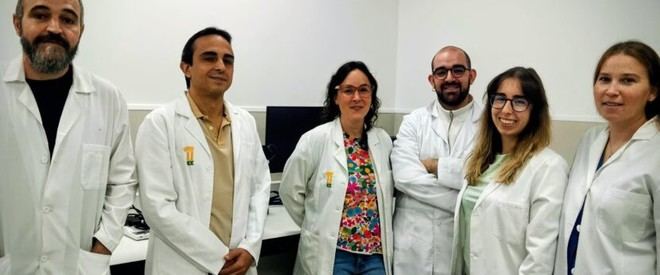 Investigadores de la UEx desarrollan un método innovador para mejorar la fertilidad en yeguas
