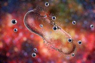 Investigación de la US identifica compuestos que podrían proteger el ADN