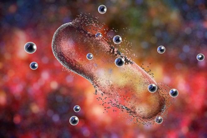 Investigación de la US identifica compuestos que podrían proteger el ADN