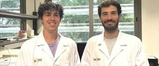 Investigación revela el papel del bazo en la respuesta inmunitaria frente a infecciones