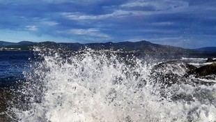 Guía para el uso de IA en la protección del océano