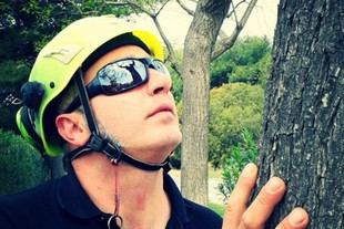 Conferencia sobre gestión del arbolado urbano el 24 de abril en Agrónomos