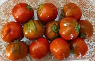 Nuevo método para silenciar genes en plantas mejora cultivos agrícolas