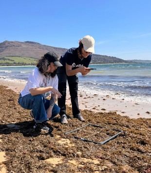 Crean el primer mapa andaluz de alga asiática y cangrejo azul mediante ciencia ciudadana